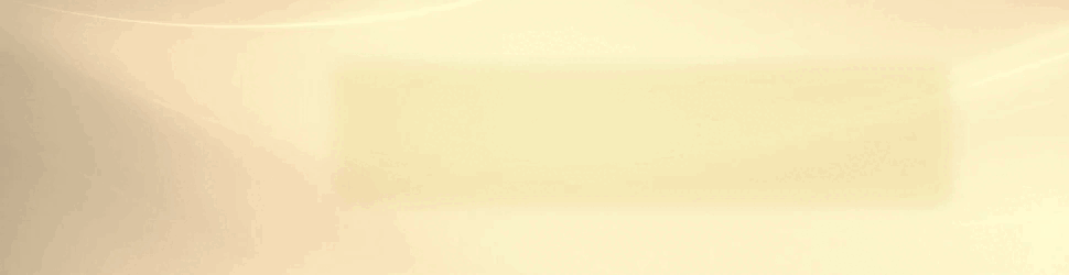 spot_img