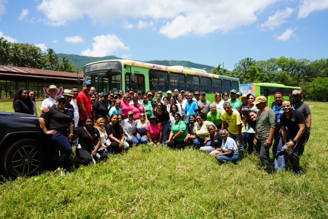 OMSA desarrolla jornada de reforestación en ocasión del Día del Árbol OMSA desarrolla jornada de reforestación en ocasión del Día del Árbol