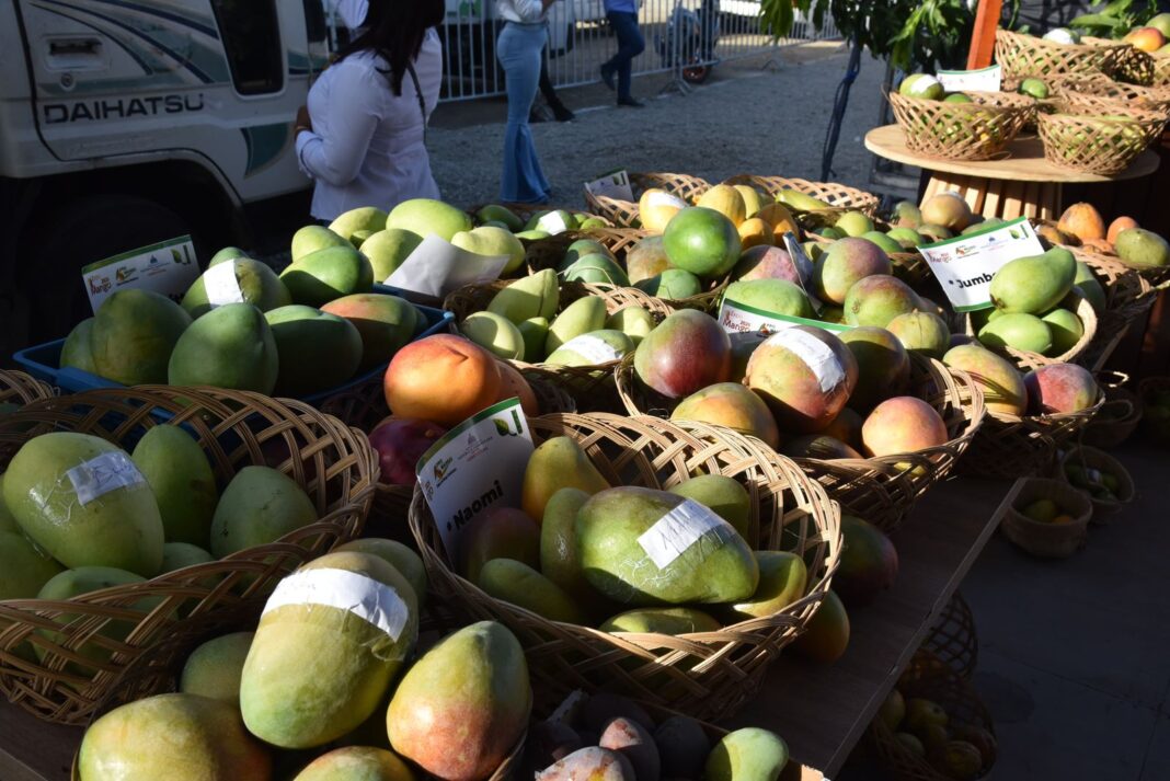 Agricultura destaca crecimiento de exportaciones de mango en apertura de Expo Mango 2026 Agricultura destaca crecimiento de exportaciones de mango en apertura de Expo Mango 2026