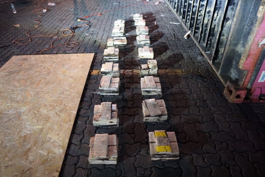 Incautan 303 paquetes de cocaína ocultas en piso de contenedor en Caucedo Incautan 303 paquetes de cocaína ocultas en piso de contenedor en Caucedo
