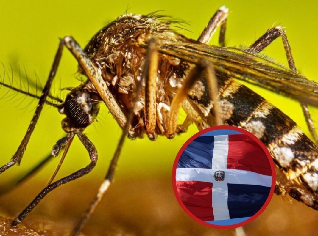RD entre los países con menor incidencia de dengue en la región RD entre los países con menor incidencia de dengue en la región